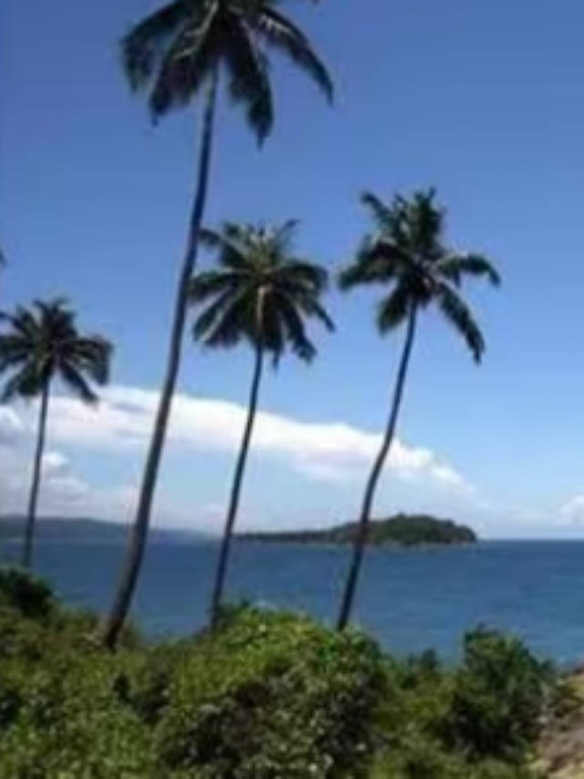 21 unnamed islands in Andaman and Nicobar